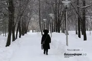Валерий Шахов