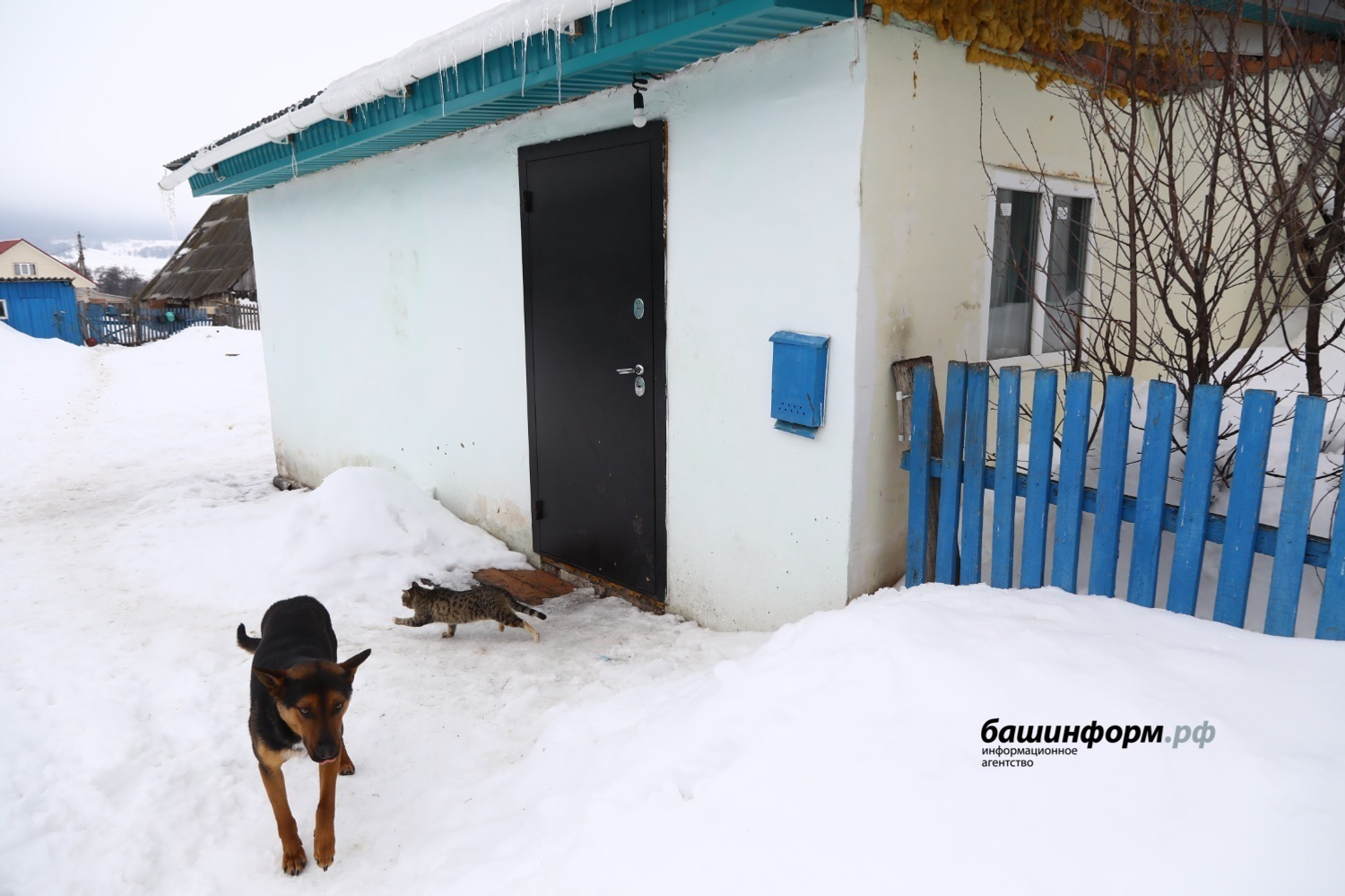 Валерий Шахов  «Башинформ»