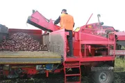 Федераль яза башҡарыу хеҙмәтенең Башҡортостан Республикаһы буйынса идаралы