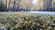 «Башинформ» мәғлүмәт агентлығы