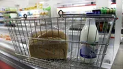 «Башинформ» мәғлүмәт агентлығы