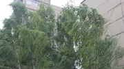 «Башинформ» мәғлүмәт агентлығы