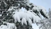 Ксения Калинина
