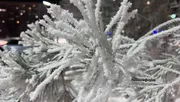 Ксения Калинина