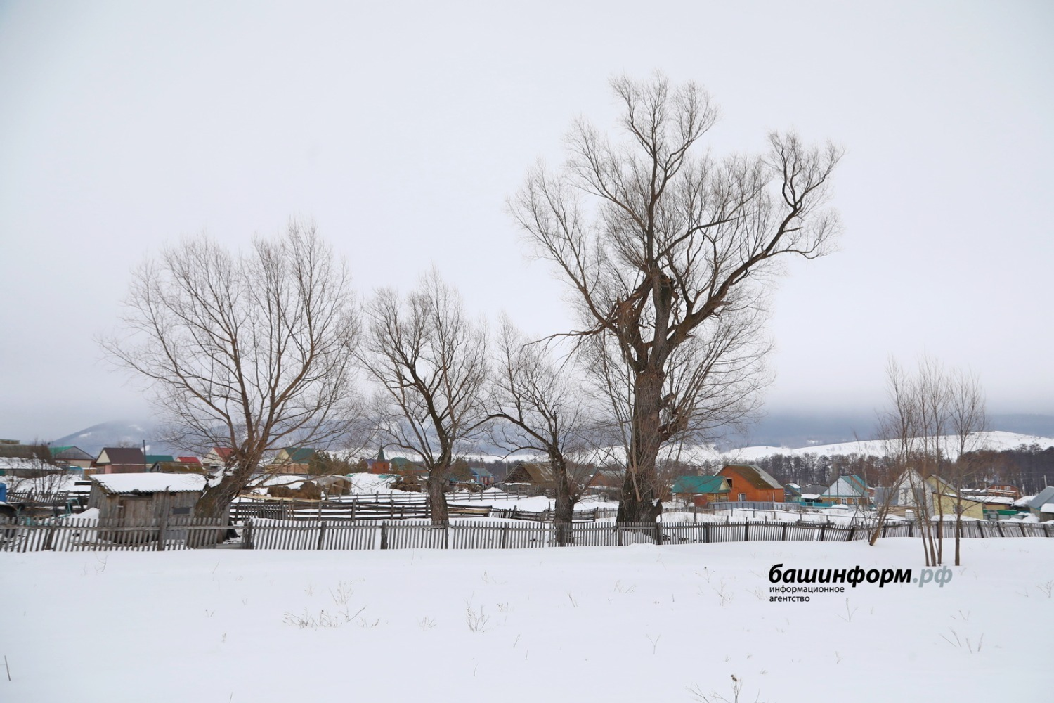 Валерий Шахов «Башинформ»