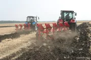 Андрей Старостин