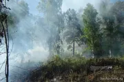 «Башинформ» мәғлүмәт агентлығы