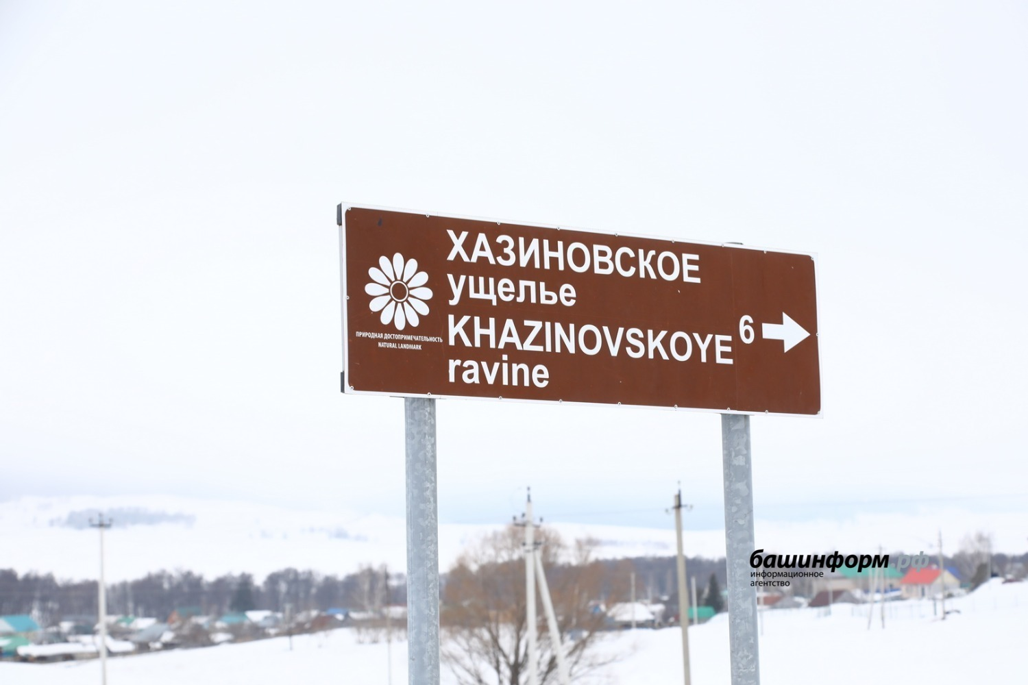 Валерий Шахов  «Башинформ»