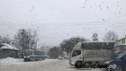Ксения Калинина