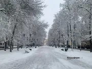 Галина Бахшиева, архив фотоһы