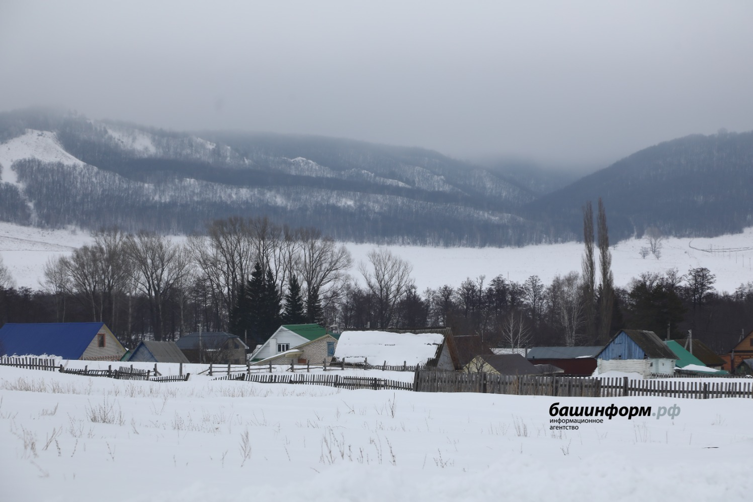 Валерий Шахов  «Башинформ»