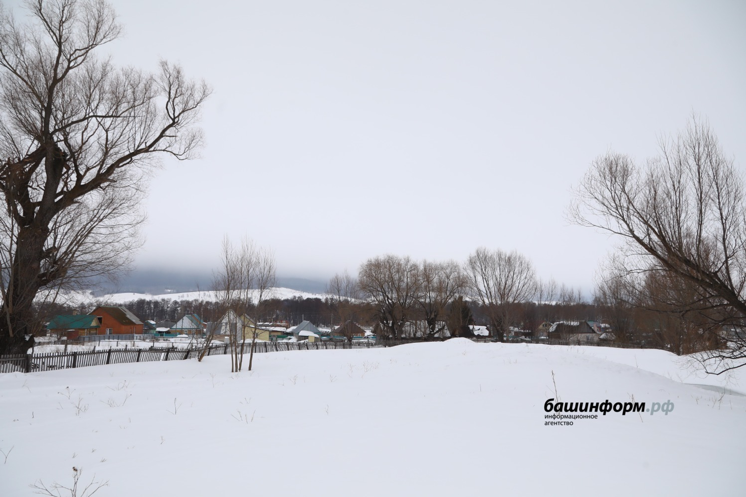 Валерий Шахов  «Башинформ»