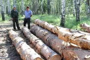 Башҡортостандың Урман хужалығы министрлығы