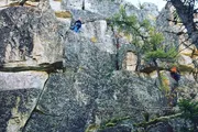 Руфина Шаһапова