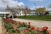 Шифахана сайты