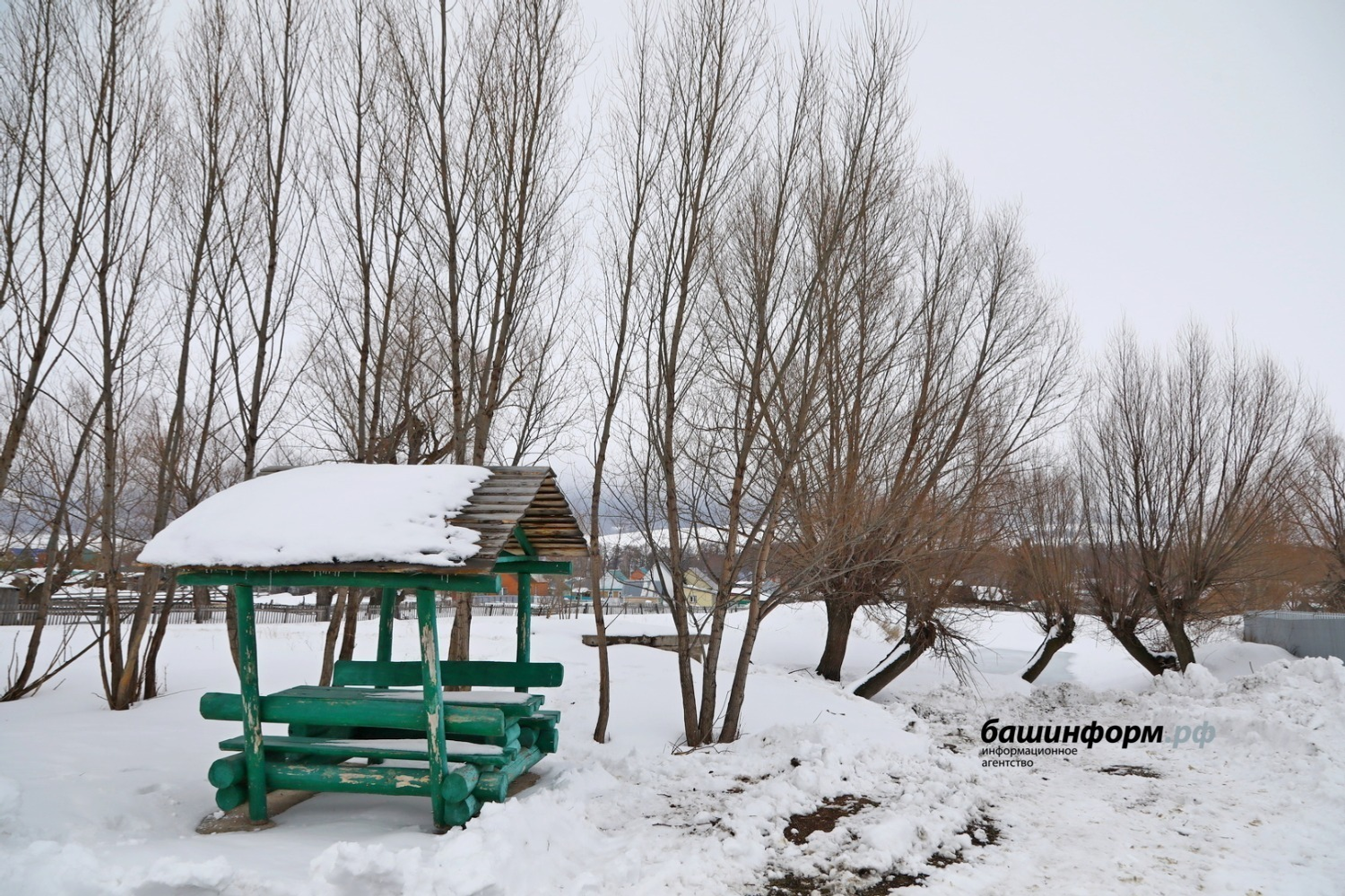 Валерий Шахов «Башинформ»