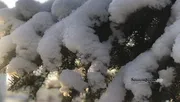 Ксения Калинина