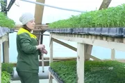 «Вся Уфа» телеканалы видеоһынан стоп-кадр