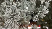 Ксения Калинина