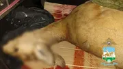 БР буйынса Эске эштәр министрлығы | Мах