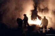Ксения Калинина