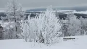 «Башинформ» мәғлүмәт агентлығы архивы