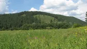 «Башинформ» мәғлүмәт агентлығы
