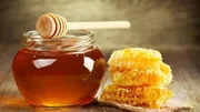Федераль ветеринар һәм фитосанитар күҙәтеү хеҙмәтенең Башҡортостан буйынса идаралығыФедераль ветеринар һәм фитосанитар күҙәтеү хеҙмәтенең Башҡортостан буйынса идаралығы