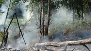 «Башинформ» мәғлүмәт агентлығы