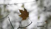 «Башинформ» мәғлүмәт агентлығы архивы