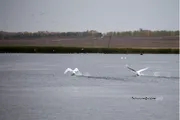 БР Экология министрлығы