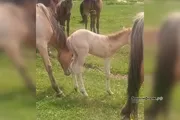 Артур Иҙелбаев