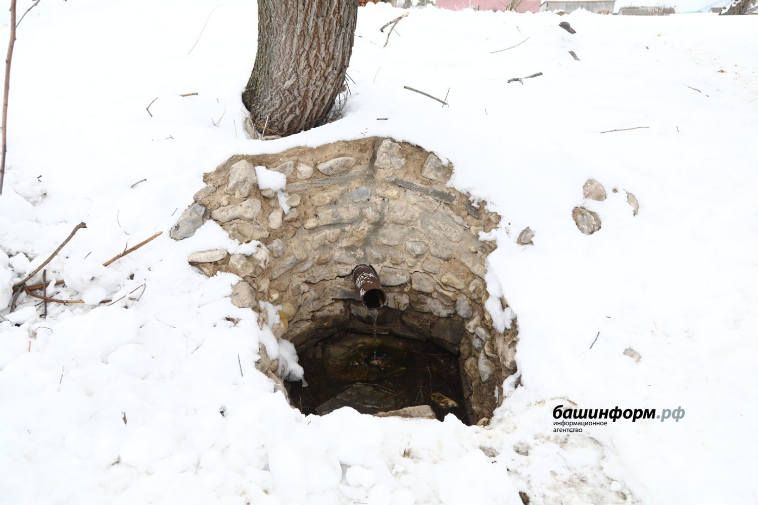 Валерий Шахов «Башинформ»